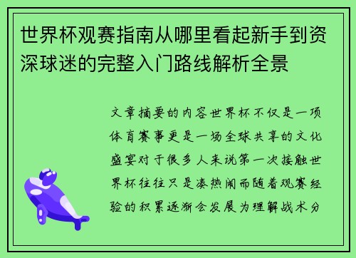 世界杯观赛指南从哪里看起新手到资深球迷的完整入门路线解析全景